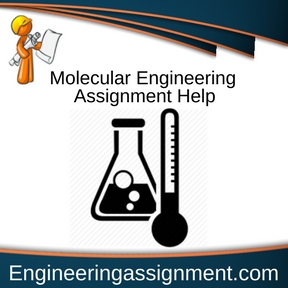Molecular Engineering Assignment Help